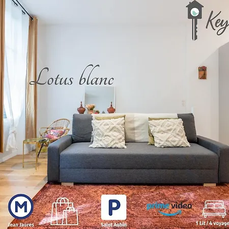 Le Lotus Blanc - Hypercentre A 10 Min Du Metro شقة تولوز