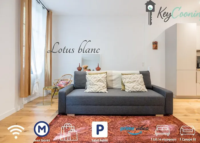 Le Lotus Blanc - Hypercentre A 10 Min Du Metro Apartamento Toulouse